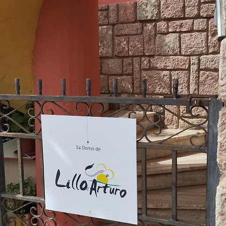 Sa Domo De Lillo E Arturo Apartamento Bonarcado Exterior foto