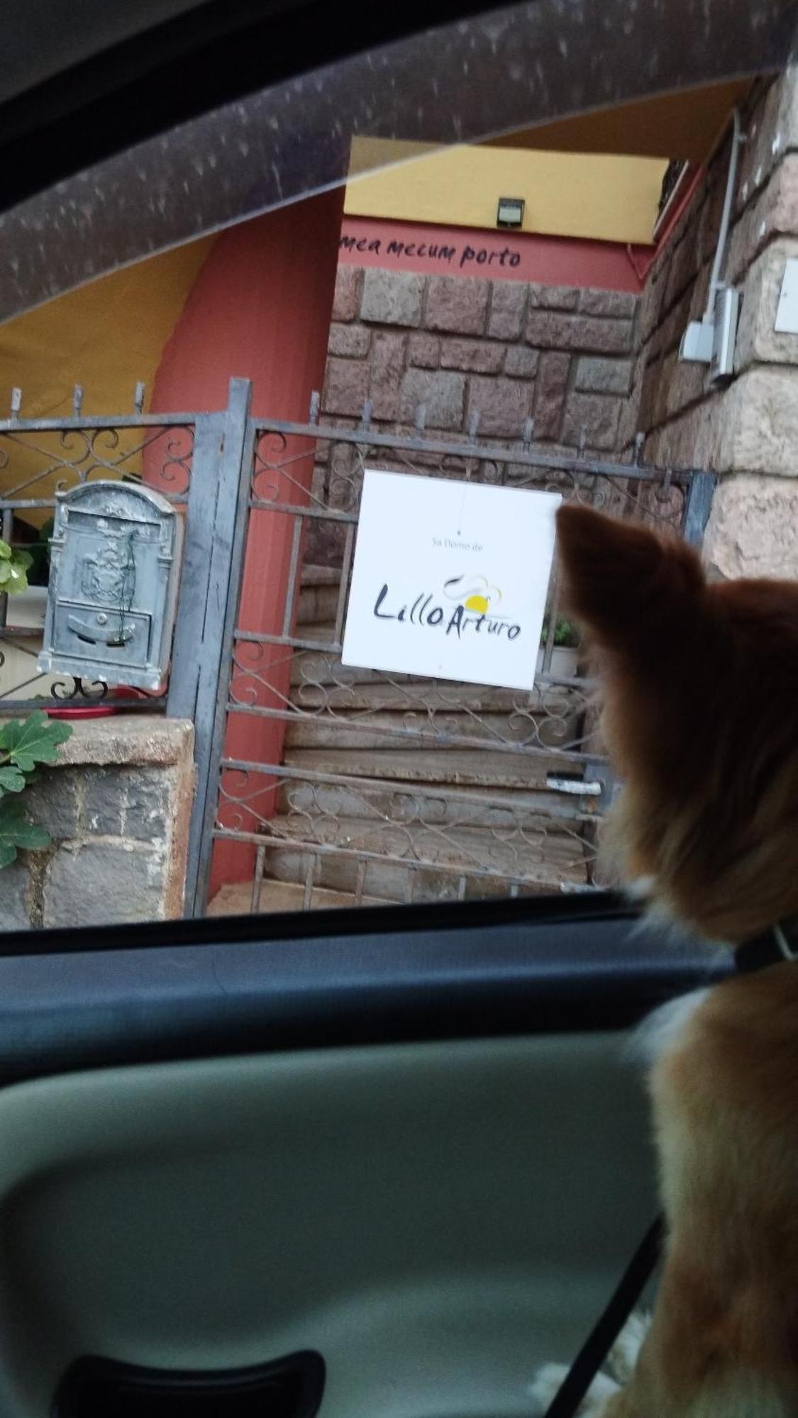 Sa Domo De Lillo E Arturo *
